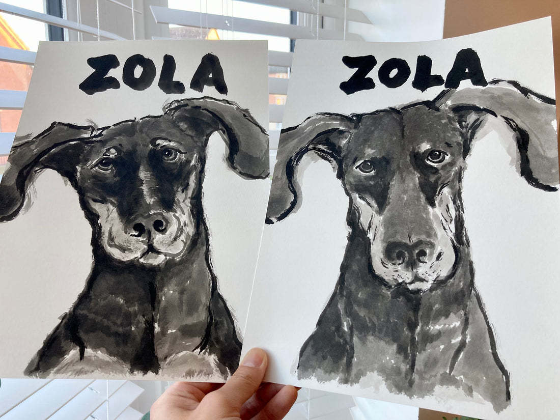 When a Dog Portrait Takes 7 Tries: Zola the Dobermann