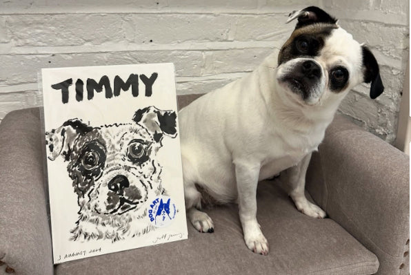 Timmy Dog 17 Portraits Later: How Timmy Stole the Show – DOGS BY JEFF