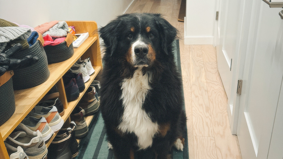 We lost her a month ago…