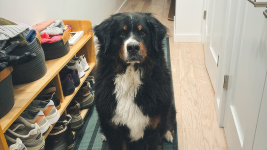 We lost her a month ago…