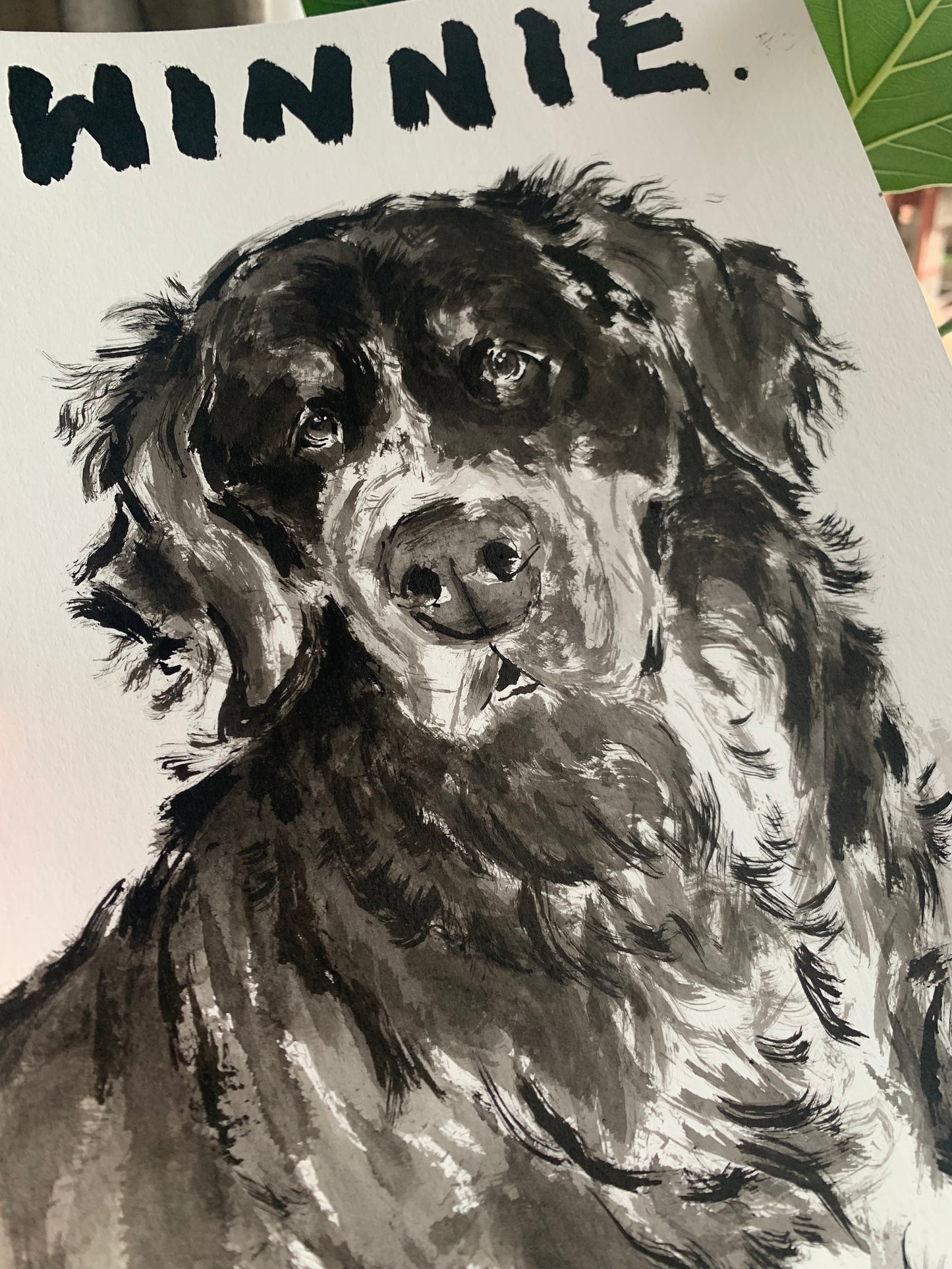 Inky Pooch Pawtrait - Glan Llyn Special