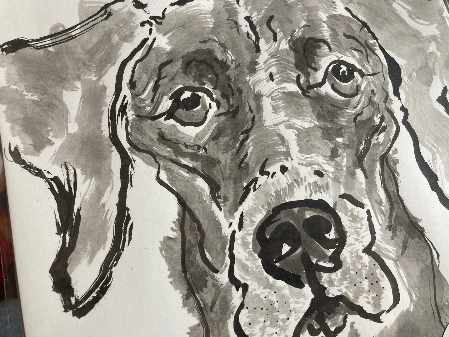 Inky Pooch Pawtrait