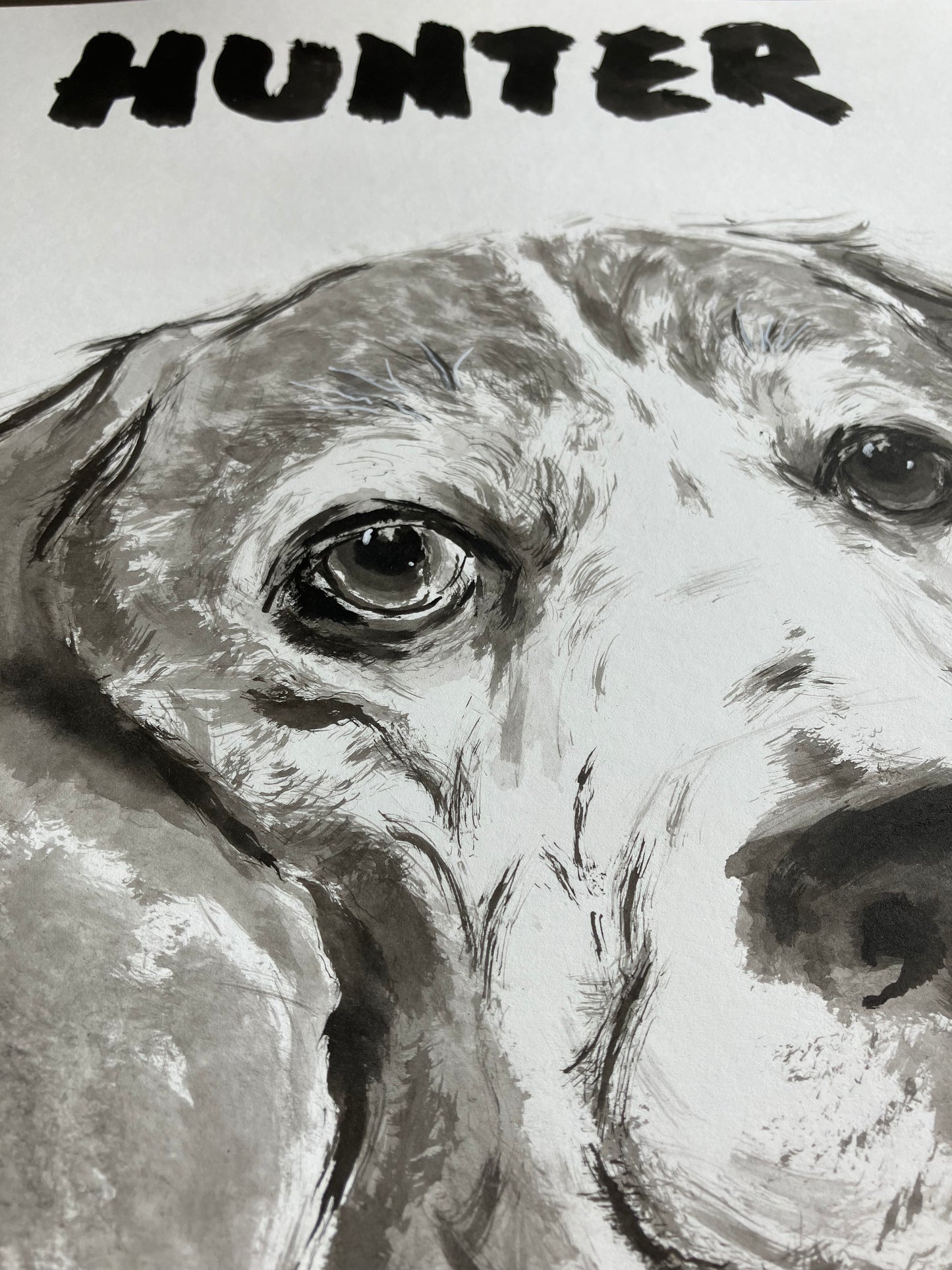 Inky Pooch Pawtrait - Glan Llyn Special